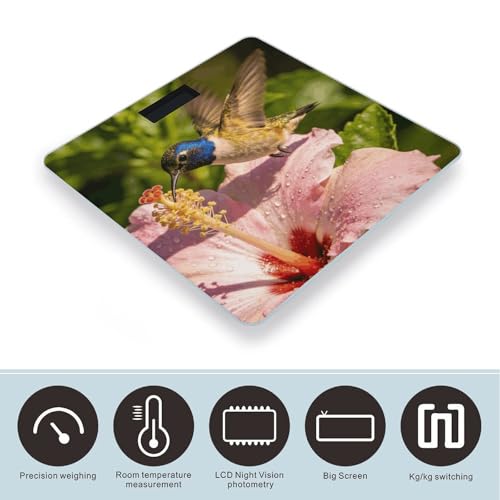 Báscula digital de baño con vidrio templado y pantalla LED miniatura 3