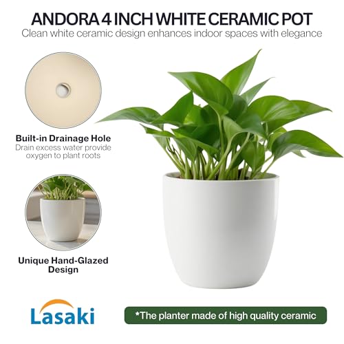 Image of Lasaki Andora 4 inch White Ceramic Pots for Indoor Plants, Planters,gamla,Outdoor,Balcony,Home,Round,Garden, Office Decor,Succulent(H - 9.5 X D - 11 cm)(Plants not Included)