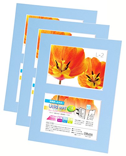 Chikuma フォトフレーム UclidマットEX L判2面 ライトブルー 3冊セット 30053-3
