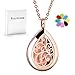 RoyAroma Rose Gold Aromatherapy Essential Oil Diffuser Necklace Stainless Steel Pendant Perfume Locket Women Jewelry for Mom/Women