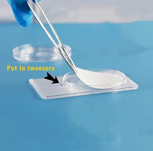 Kiesev 50 Pcs Filter Membrane Preservation Box, 47Mm/90Mm, Atmospheric Detection Environment Sampling, Air Sampling Filter Preservation Box, Laboratory Filter Membrane Protection (Φ 90 Mm) #TOP4