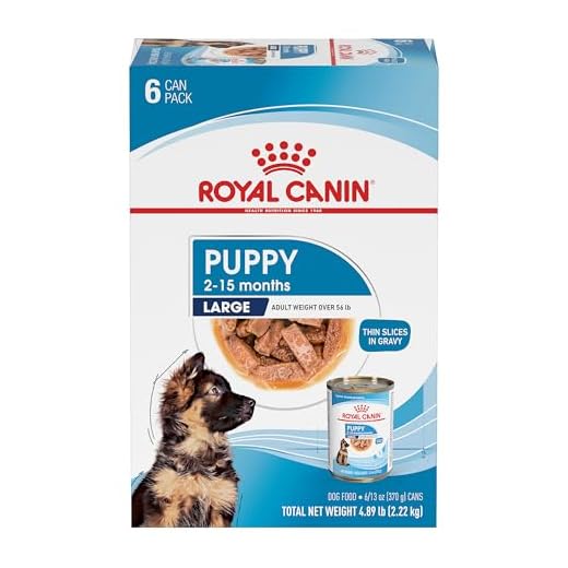 Royal Canin Size Health Nutrition Large Puppy Thin Slices in Gravy Dog Food, 13 oz (Pack of 6)