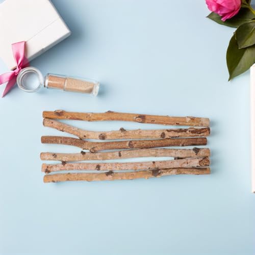 Composition végétale haut de gamme avec 6 branches en bois brut