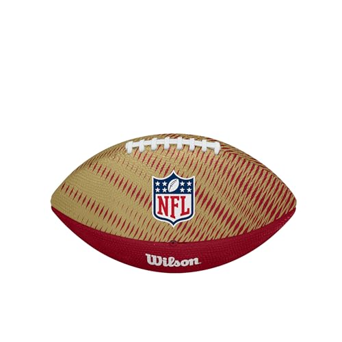 Image of WILSON Unisex NFL Team Tailgate Footballs