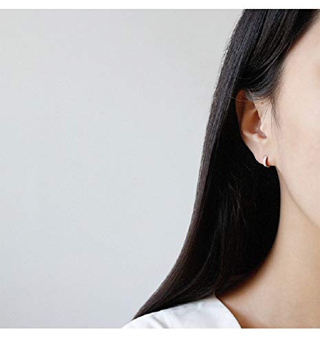 Tiny Small Cubic Zirconia Mini Hoop Earrings Real 925 Sterling Silver for Cartilage Tragus Pierced Sleeper Cuff Women Teen Girls 2nd Hole Round Hinged Huggie Hoops Dainty Fashion Jewelry Gifts Hypoallergenic 6mm/8mm/10mm3