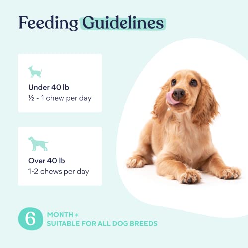 image for Pawfy Probiotic Soft Chews | Digestive | Gut | Immune Support | Diarrh