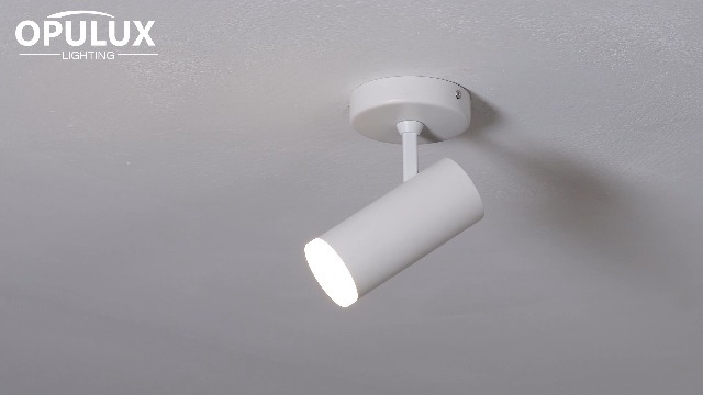 Image of 9W LED Dimmable Ceiling Spotlight Indoor - Adjustable Surface Mount Accent Fixture for Corridor, Living Room, Plants & Artwork | Warm White 3000K CRI 97 Directional Spot Light, White Finish