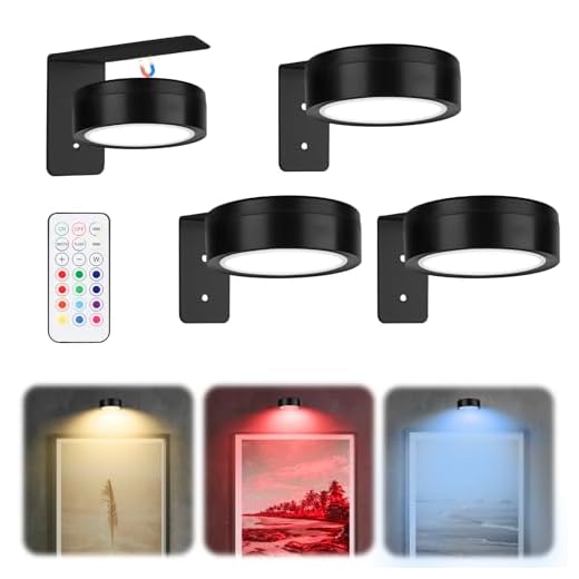 3 Stück Bilderleuchte Kabellos - mit Fernbedienung, 13 RGB-Farben, einstellbare Lichthelligkeit, LED Magnetisches akku wandleuchte, bilderleuchte für Bilder, Kunst, Poster, Picture Lights for Wall