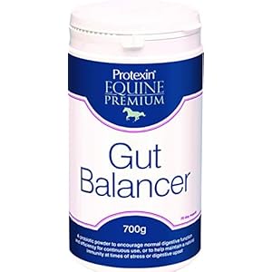 Protexin Equine Premium Gut Balancer 700 g