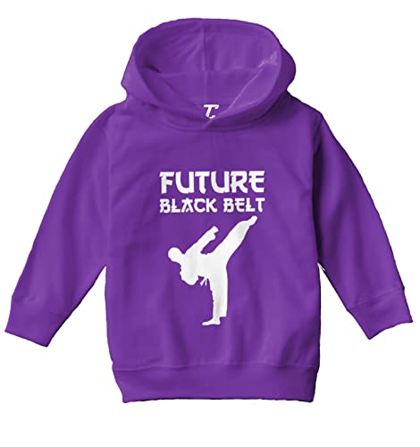 Haase Unlimited Future Black Belt - Karate Master Toddler/Youth Fleece Hoodie2