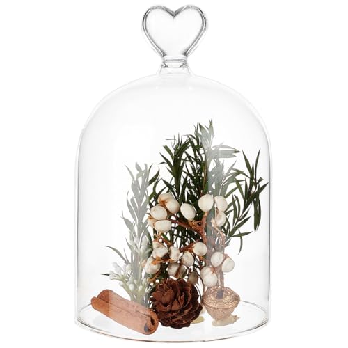BENECREAT Campana de cristal de 91 x 145 mm,...