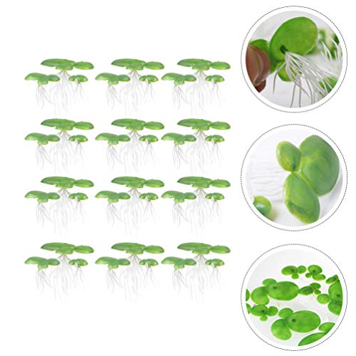POPETPOP Pacotes de 2 Lentilha Artificial Planta Folhagem Artificial Flutuante Lagoa Decoração Paisa