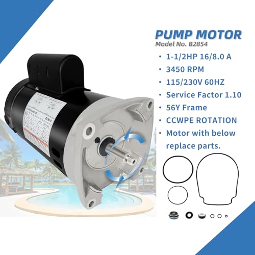 B2854 1.5HP Pool Pump Motor Replace Century/AO Smith B2854 Pool Pump Motors - Image 3