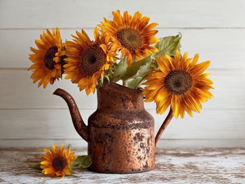 GSҌ DIY ANG̋hGLbgAPaint by NumbersqƑlnhhGЂ܂̐CeAyCgoCio[ G|XgXDIY`ACeA Ƃ̕ǂ̑A50x60cm/20x24C`(t