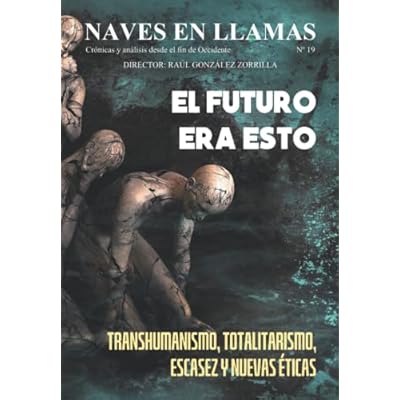 Revista Naves en Llamas N&ordm; 19: Cr&oacute;nicas y an&aacute;lisis desde el fin de Occidente