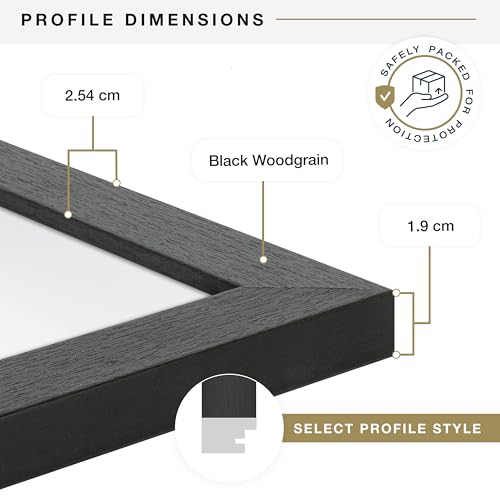MCS A4 Studio Gallery Schwarz 3 Pack