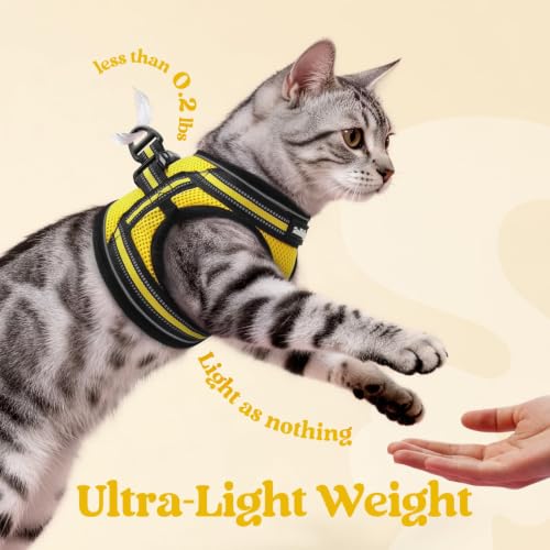 Image of rabbitgoo Cat Harness and Leash Set, Step-in Soft Vest, Bright Yellow | Escape Proof, Lightweight, Easy-on & Adjustable, Hook & Loop with Buckle, Reflective, for Small Cats Walks, L