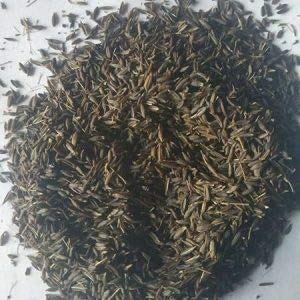 Planet 007 Jadi Booti Kala Jeera Shahi Jira Black Cumin Seeds 200 gram