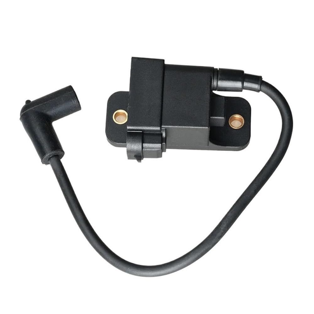Bobine d'allumage pour moteur hors-bord étanche et haute tension 827509A1