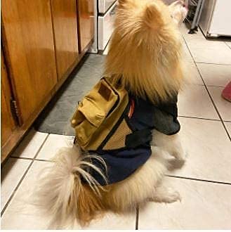BoxDog Matching Dog Backpack and Human Backpack Set | Travel Camping Hiking Canvas and Leather Dog Backpack | Dog Park… - Image 3
