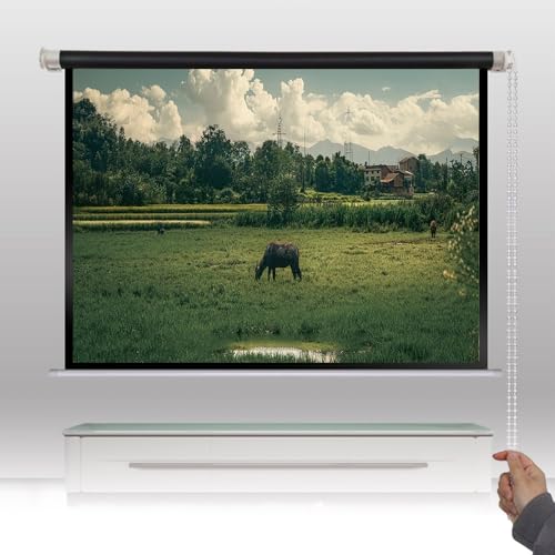 Pantalla proyector manual 60 pulgadas 4:3