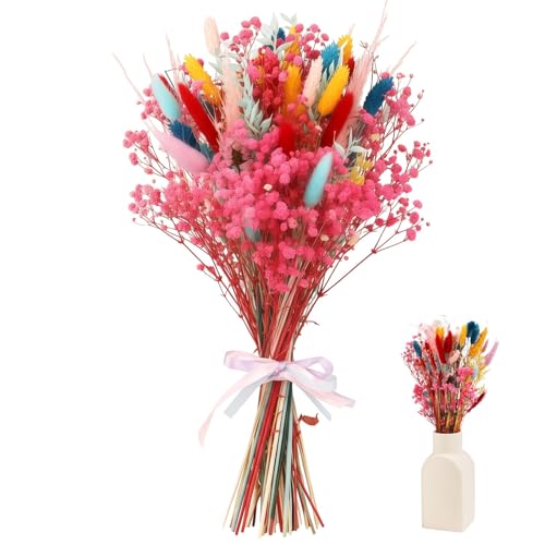 Bouquet de flores secas Pampas multicolor miniatura 1
