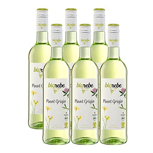 BioRebe Pinot Grigio Trocken (6 x 0,75l)