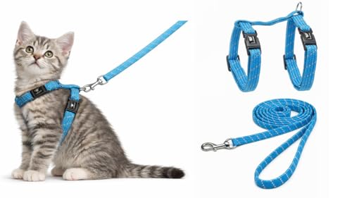 Harnais pour Chat - Chaton Elza Bleu - 15-22cm - 20-30cm - Laisse 120cm - Nylon réglable - réfléchissant - avec Mousqueton