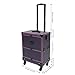 Ncescmal Rolling Makeup Train Case Beauty Trolley Cosmetic Organizer Box with Mirror NEW