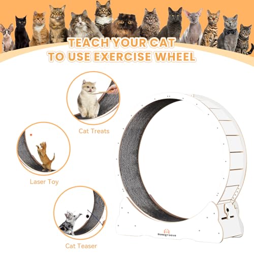 Image of Homegroove Cat Running Wheel, 45 inch Large XL Cat Exercise Wheel Treadmill with Carpeted Runway, Sport Toy for Kitty's Longer Life (XL, White)