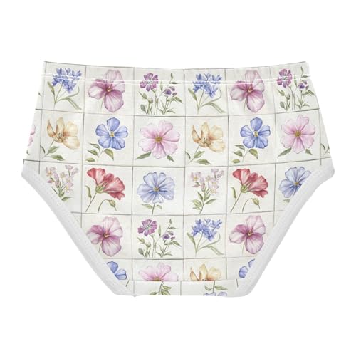 ZZKKO Watercolor Flower Plaid Girls Underwear Toddler Panties for Girls Comfort Brief Size 2T-8Y2