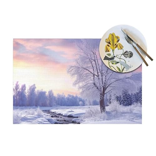Lot de 6 sets de table lavables pour repas intérieur extérieur - 6