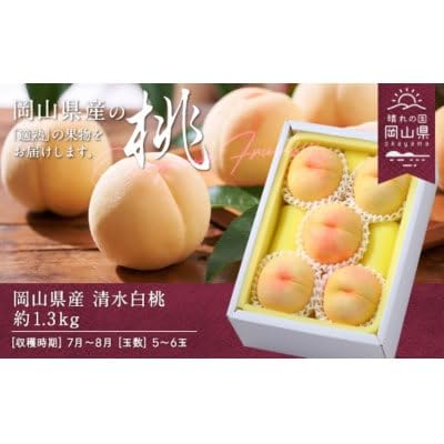 (2026年発送)岡山県産 清水白桃 約1.3kg(5〜6玉)