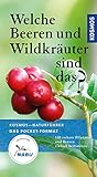 Welche Beeren und Wildkräuter sind das?: 130 essbare Pflanzen und Beeren einfach bestimmen