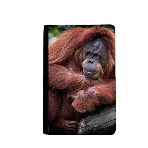 Étui portefeuille de voyage pour passeport imprimé orang outan multicolore de 3.7x5.8 pouces