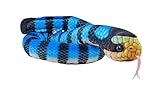 Wild Republic Living Ocean Sea Snakes Yellow Lipped, Stuffed Animal, 54 Inches, Plush Toy, Fill is Spun Recycled Water Bottles