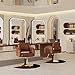 Baasha Professional Brown & Gold Salon Chair, Luxury Hydraulic Styling Chair with Soft PU Leather, High-Density Foam Cushion, 360° Swivel, Stainless Steel Frame, Ergonomic Design, 330 lbs Capacity