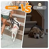 Verstellbarer Hunde Tragehilfe, Tragbarer Tragegurt zur Rehabilitation von mittleren und großen Hunden - Gehhilfe mit Griffen als Sicherheitsunterstützung für behinderte, verletzte oder ältere Hunde