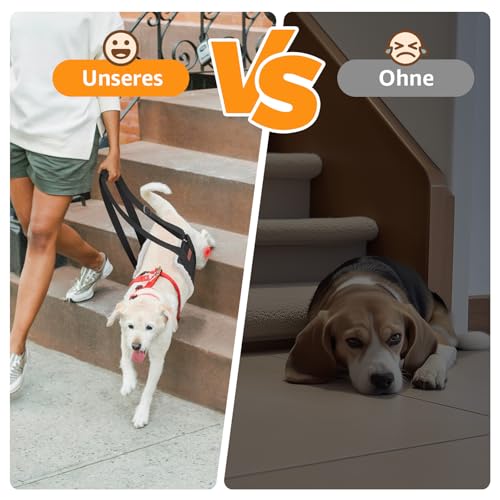 Verstellbarer Hunde Tragehilfe, Tragbarer Tragegurt zur Rehabilitation von mittleren und großen Hunden - Gehhilfe mit Griffen als Sicherheitsunterstützung für behinderte, verletzte oder ältere Hunde