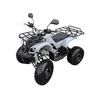 【早期引取最終値下げ▪️不動】メーカー不明 125cc 四輪バギー 楽天市場】【リニューアル】バギー 四輪 125cc ミニ ATV YH 4サイクル