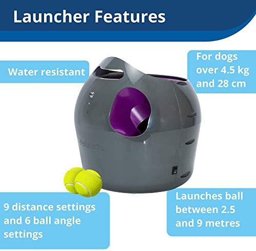 petsafe ball launcher