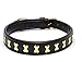 ZIIZO Genuine Leather Bones Studded Luxury Padded Dog Collar (Extra Large, Brown/Golden)