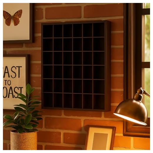 Jumbl Wood Shot Glass Wall Curio Display case - Black…