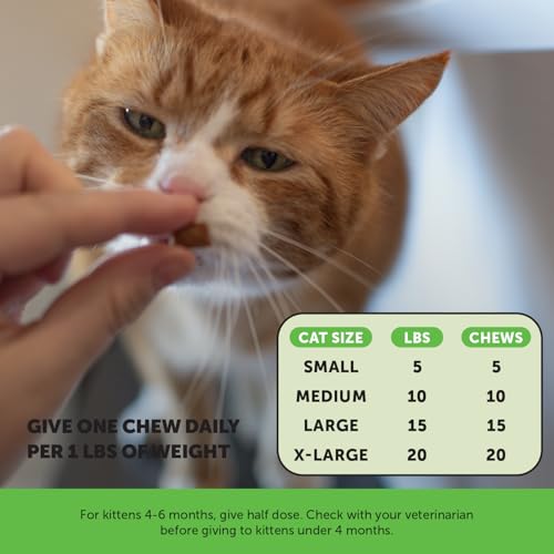 Image of Cat Probiotics Crunchy Creamy Chews for Digestive Health - Cat Constipation + Occasional Diarrhea Relief - Daily Probiotics for Cats with Prebiotics Fiber Gut Flora Sensitive Stomach (90-Day Supply)