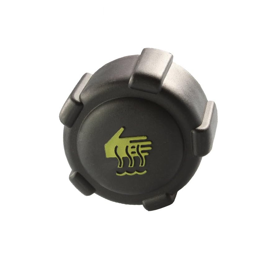 Radiatore Cap For Renault Clio Kangoo Laguna Megane Espace Scenic Trafic Modus 8200048024