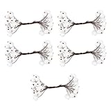 POPETPOP 5 Pièces Baies Immatérielles Décoratives pour Fêtes Baies...