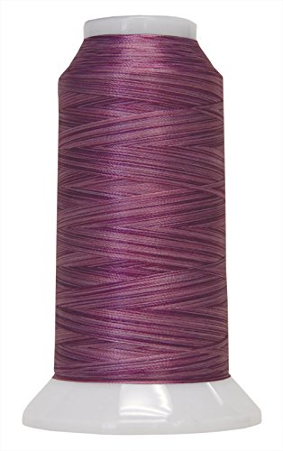 Superior Threads Fantastico 2-Ply 40-Weight High Strength Polyester Embroidery Quilting Sewing Thread - 2,000 Yard Cone (#5108 Romance)