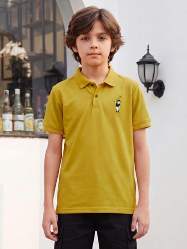 Image of Li'l Tomatoes Boys Sports Polo T-Shirt Polyester Casual Summer Tee | inchGolf Player inch Printed Collar Neck T-Shirt | Lightweight & Breathable Half Sleeve Sports Wear | Stylish Polo Tee | 9-16 Years
