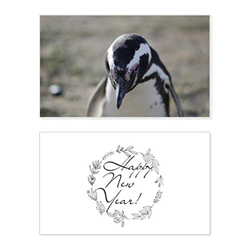 Tarjeta de Año Nuevo Cute Penguins Science Nature Picture con ilustración postal