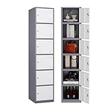 MIIIKO 6 Door Locker, Storage Lockers Cabinet with Keys, Lockable Locker Cabinet for Employees, School, Gym and Home Office